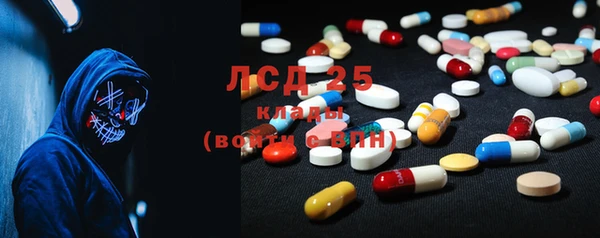 гашик Михайловск