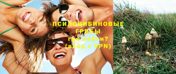 мет Михайлов