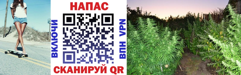 Канабис индика  Туринск 